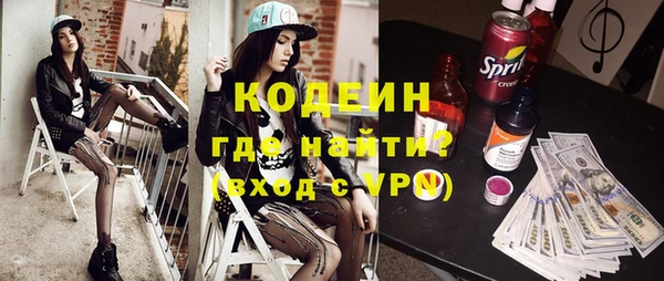 сатива Иннополис