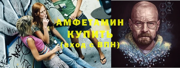 сатива Иннополис