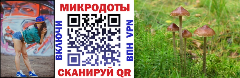 Псилоцибиновые грибы мицелий  Купить  Дальнегорск 